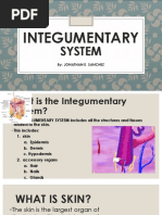 Integumentary System