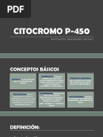 Citocromo P-450