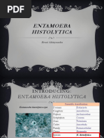 Entamoeba Histolytica