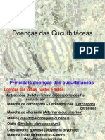 Doenças Das Cucurbitáceas