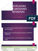 Neoplasias Pulmonares Benignas