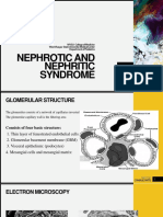 Nephrotic and Nephritic Syndrome