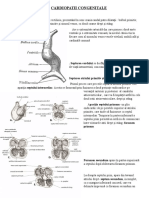 CURS 08-Cardiopatii Congenitale