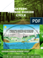 Oxygen Carbon Cycle