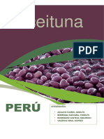 Exportacion Aceituna