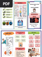 Enfermedad Renal