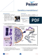 B - 4° Año - S3 - Genetica Mendeleiana