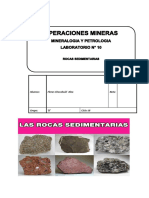 Lab 10 Rocas Sedimentarias