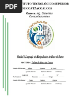 Lenguajes de Manipulacion de Bases de Datos