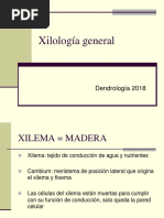 Xilologia General Dendrologia 2018