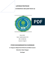 Laporan Farmakologi Metabolisme Obat Pada Hewan Uji