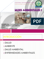 Enfermedades Ambientales I