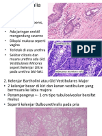 Histologi 