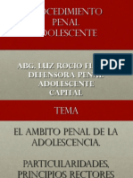 Ponencia. Procedimiento Penal Adolescente. Expositora Luz Rocio Fleitas. Villarrica Modulo I.