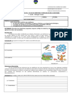 Guía N°1 - Flujo de Materia y Energía en Ecosistema