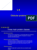 Globular Proteins: Dr. Sujin Bao, SJSM