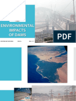  Environmental Impacts of Dam