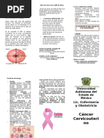 Triptico Cancer Cervicouterino