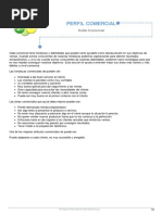 Informe Disc Seleccion Ejemplo Modulo Perfil Comercial