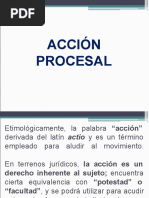 Accion Procesal