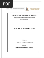 Centrales Hidroelectricas, Futuro y Funcionamiento