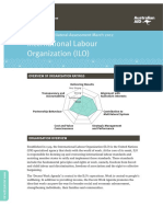 Ilo Assessment