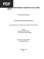 "Plan de Negocio para La Creación de Un Estudio Contable