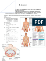 Apuntes Abdomen Moore Anatomia PDF