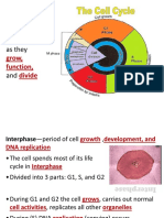 Series of Events Cells Go Through As They: Cell Cycle