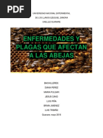 Trabajo de Enfermedades Que Afectan A Las Abejas