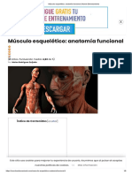 Músculo Esquelético - Anatomía Funcional - Mundo Entrenamiento PDF