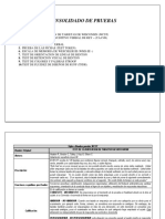 Baremos Pruebas Neuropsicologicas