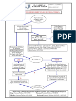 PLAN MEDEVAC Geológia de Campo