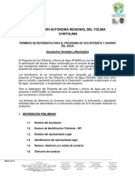 3 Terminos de Referencia Pueaa Cortolima Acueductos