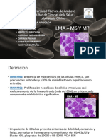 Hematologia Casos Clinicos y Descripcion de LMA - M6 y M7