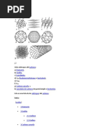Alótropos Del Carbono
