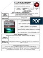 Reporte de Inspección Líquidos Penetrantes