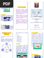 Triptico Cambios de La Materia