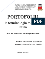 Portofoliu L Llllatina