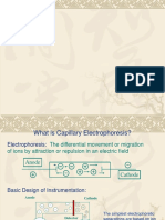 Capillaryelectrophoresisfinal PPT 1