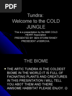 Tundra: Welcome To The COLD Jungle