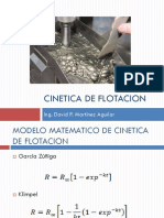 Cinética PDF