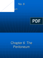 Peritoneum