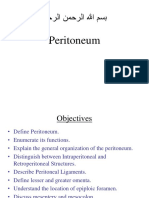 Peritoneum