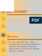 Brucelosis Curso