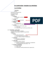 Esquema Clasificación y Función de Las Proteínas