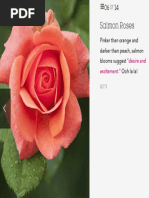 Salmon Roses: Want Ol:1r Top