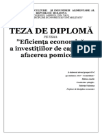 Eficienta Economica A Investitiilor de Capital