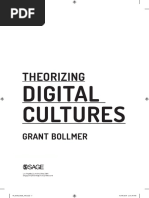 Theorizing Digital Cultures