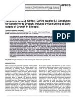 Variations Among Coffee (Coffea Arabica L.) Genotypes For Sensitivity To Drought Induced by Soil Drying at Early Stages of Growth in Ethiopia